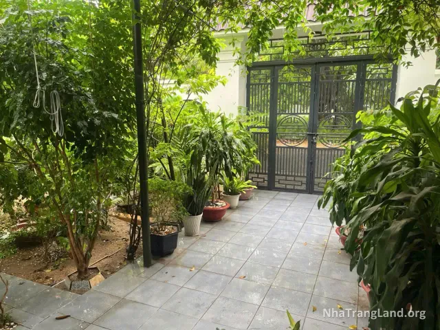 Lối đi sân vườn dẫn ra cổng biệt thự góc Phước Long