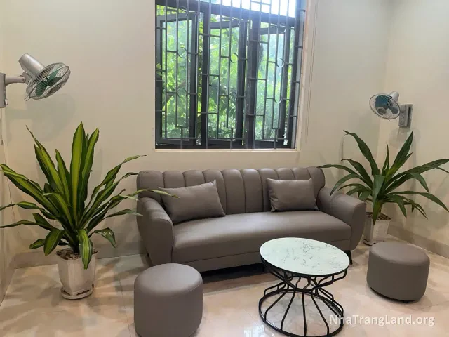 Góc tiếp khách với sofa và cây xanh trong biệt thự — ảnh 2