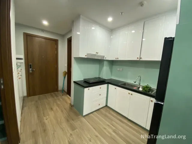Bếp và lối vào căn hộ — ảnh 6