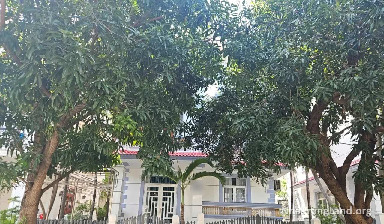Mặt tiền biệt thự đường 1C khu An Viên