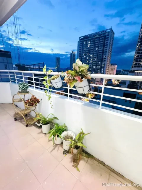 Cho thuê căn hộ số 7 Nguyễn Thiện Thuật, phố Tây Nha Trang — 67 m², căn góc — ảnh 3