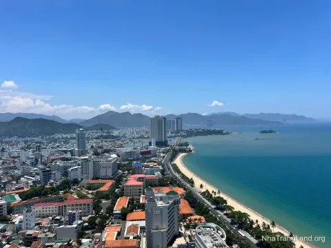 Bán căn góc Gold Coast tầng 29 trực diện biển, đập thông 2 căn — 178,2 m², 3 phòng ngủ — ảnh 4